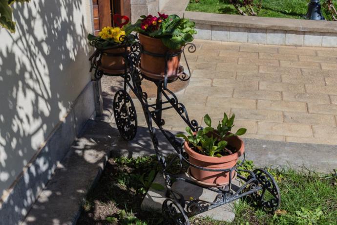 B&B Il Belvedere Viterbo Dış mekan fotoğraf